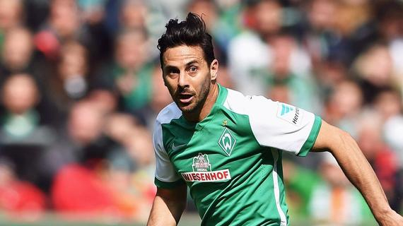  掘金vs鹈鹕比分预测 